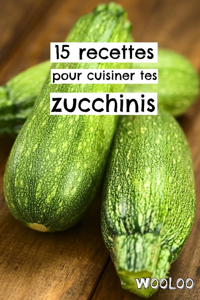 recettes pour cuisiner le zucchini wooloo