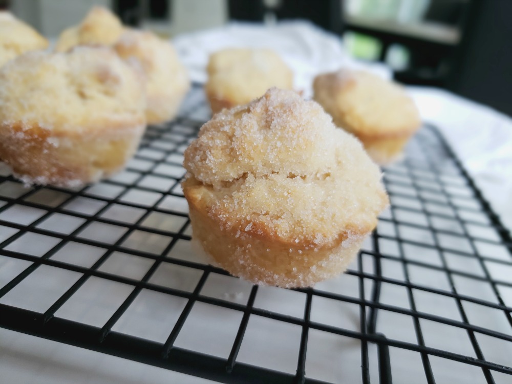 Muffins de style beigne au sucre wooloo