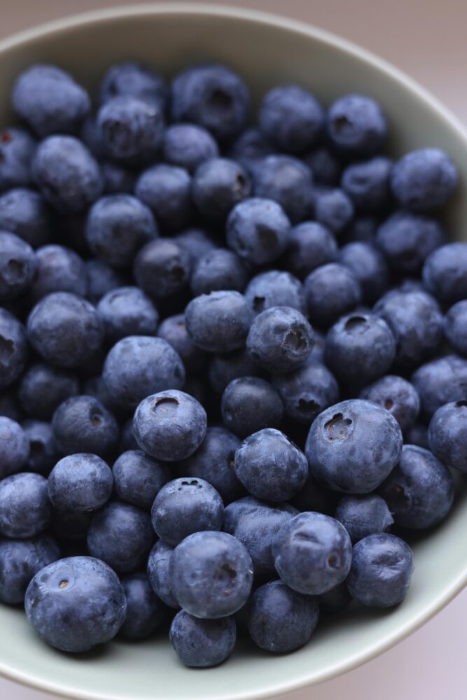 chopine de bleuets pour cuisiner tarte aux bleuets - wooloo