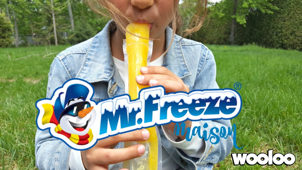 ZipZicle bâtonnets de glace réutilisables type Mr Freeze