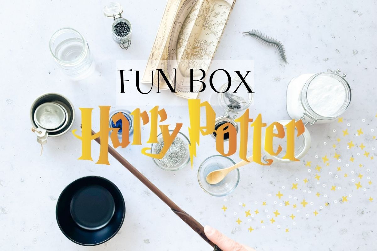 fun box-Harry potter-wooloo_entête