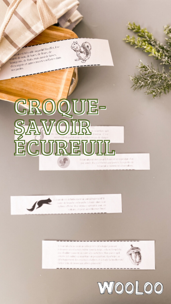 croque-savoir-ecureuil-wooloo-Pinterest