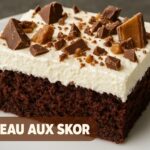 gâteau au chocolat et Skor_wooloo