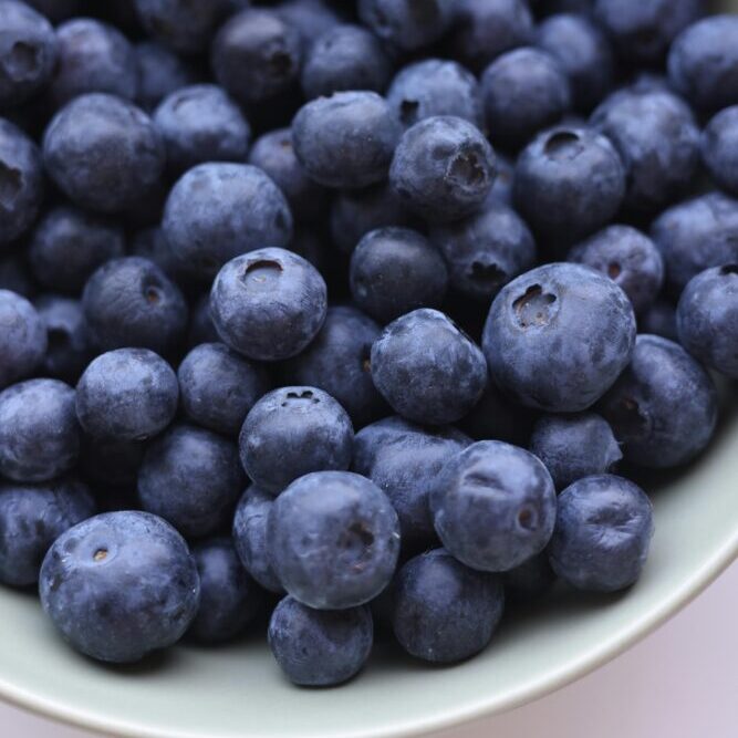 chopine de bleuets pour cuisiner tarte aux bleuets - wooloo